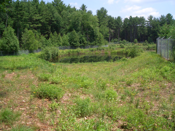 Pennichuck Wet Pond at Community College