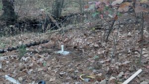 Stump Pond Brook monitoring site