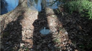 Witches Brook Monitoring Site