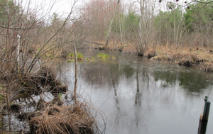 Witches Brook East monitoring site